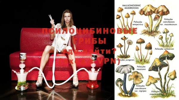 метадон Заводоуковск