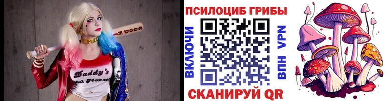 дарнет шоп  Знаменск  Псилоцибиновые грибы MAGIC MUSHROOMS 