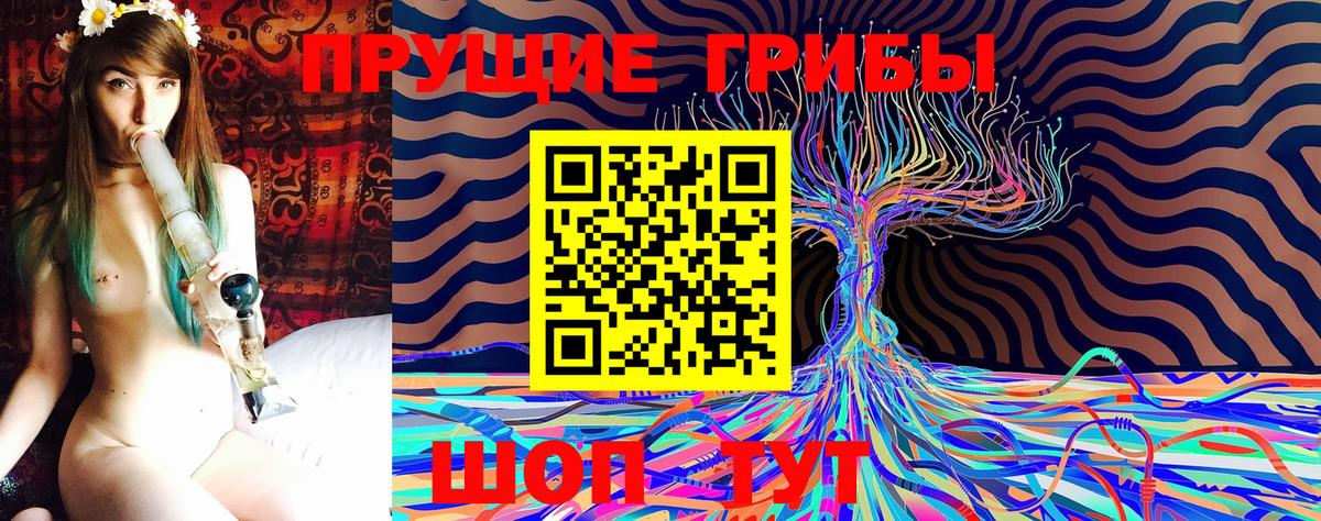 Знаменск  Галлюциногенные грибы Psilocybine cubensis  Вход с VPN 